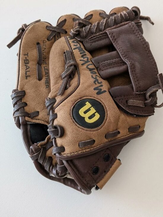 Wilson Other - Wilson A450 Baseball Glove 9" Left -Handed Throw T-Ball Genuine Leather
